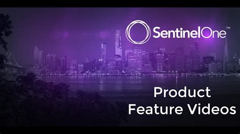 Sentinelone Management Console Optimize Cybersecurity Efforts To Stop