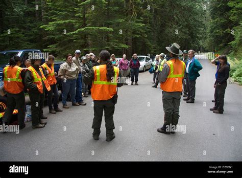 IMG 0603 2 Stock Photo - Alamy