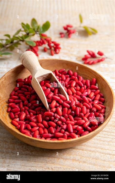 Pile Of Berberis Vulgaris Also Known As Common Barberry European