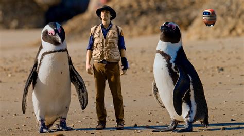 Andys Global Adventures Series Andy And The African Penguins