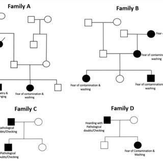 Representative Pedigrees From The Sample Showing Principal Symptoms