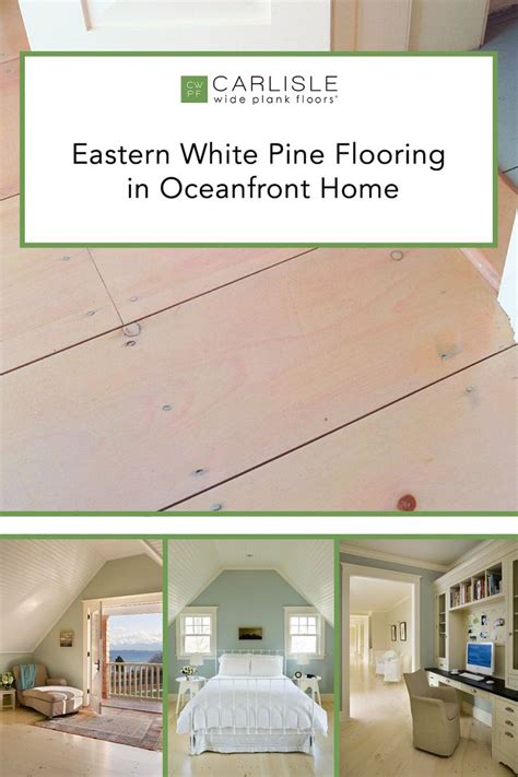 Eastern White Pine In Rhode Island Oceanfront Home Carlisle Wide