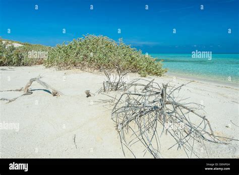 View From A Beautiful Tropical Beach On A Remote Desert Island With