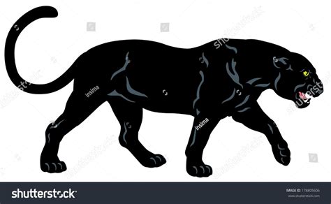 Black Panther Side View Image Isolated On White Background Stock