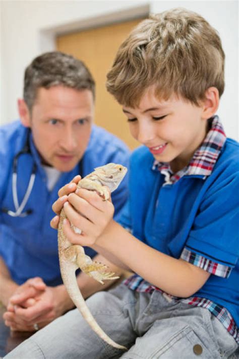 Veterinário Especialista em Animais Silvestres - Hospital Veterinário ...