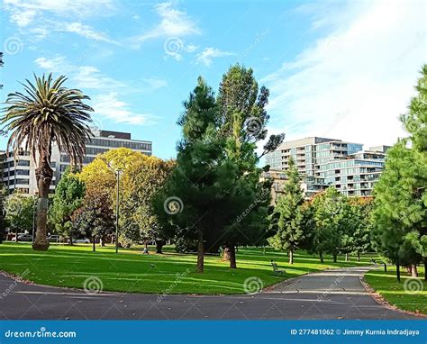 Urban Oasis Finding Serenity In The Heart Of Downtown Park On An