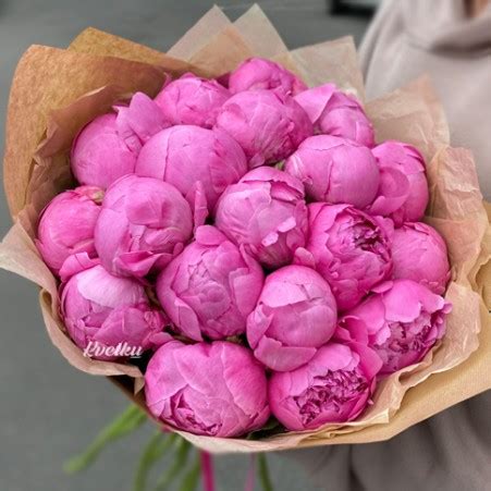 Пионы: купить букет, цена в Минске - доставка