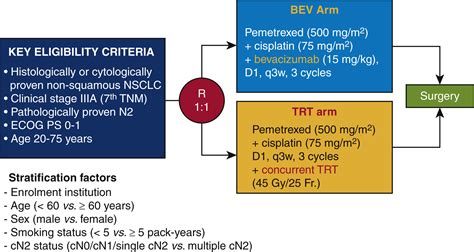 Randomized Phase Ii Trial Of Pemetrexed Cisplatin Plus Bevacizumab Or