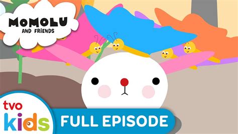 Momolu And Friends 🐼 Noonis Butterfly Garden 🦋🌻 Season 1 Full Episode On