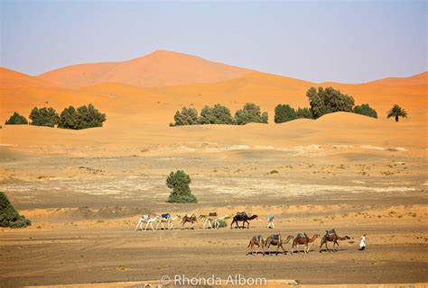 Colors of the Sahara Desert: A Travel Photography Exposé