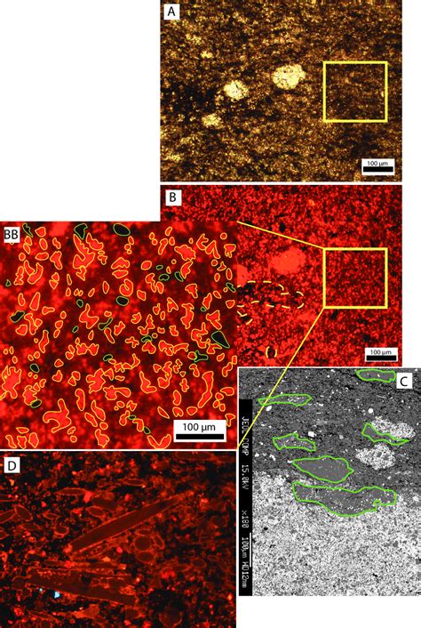 Photomicrographs Obtained From A Variety Of Petrographic Imaging