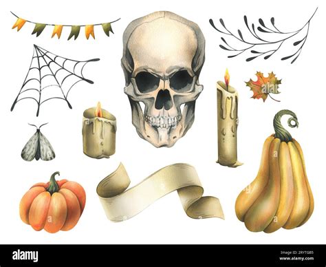 Human Skull With Orange Pumpkins Cobweb Flags Candles And Branches Moths Autumn Leaves