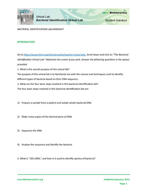 Bacterial Identification Lab Worksheet Student Student Handout