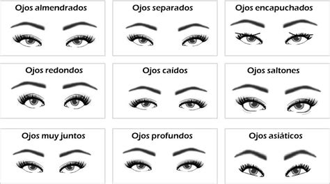 Tipos De Ojos Hombres • Tiposde