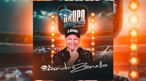 Cd Grupo Sharks Dj Andr Zanella Youtube