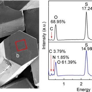 a-HH crystals showing the areas on the {100} (a) and {002} (b) facets ...