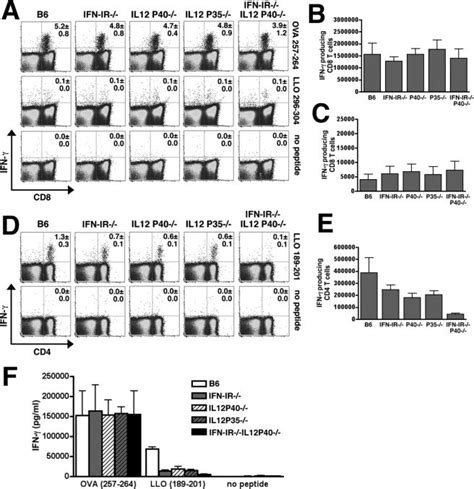 IL 12 and type I IFN synergize for IFN γ production by CD4 T cells