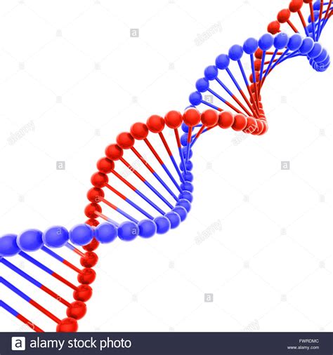 Red And Blue Dna Helix On White Stock Photo Alamy