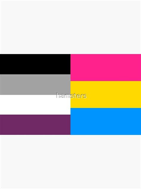 Panromantic Asexual Flag Art Print For Sale By Hamsters Redbubble