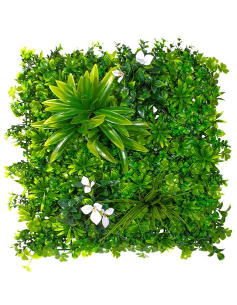 Фитомодули для вертикального озеленения - купить с доставкой в RePlants.ru