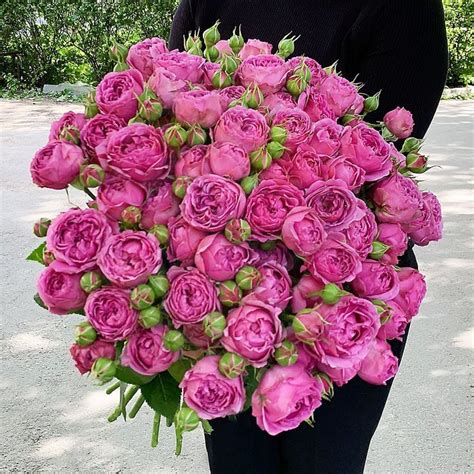 Букет 51 кустовая пионовидная роза Мисти Бабблз in 2024 | Floral wreath ...