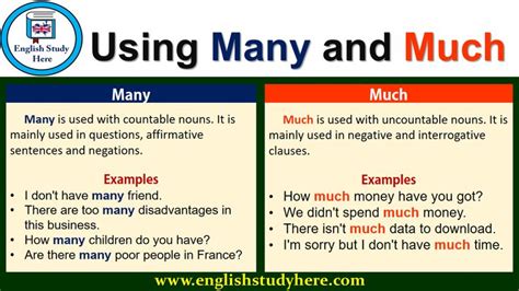 Using Many and Much in English | English study, English grammar ...