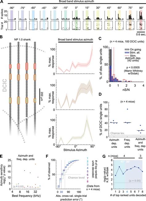 Noisy Neuronal Populations Effectively Encode Sound Localization In The Dorsal Inferior