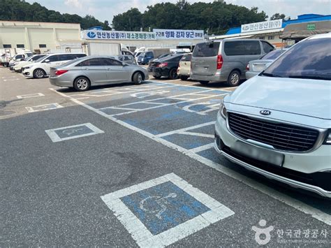 안산농수산물도매시장 쇼핑 정보와 주변 관광 명소 및 근처 맛집 여행 정보