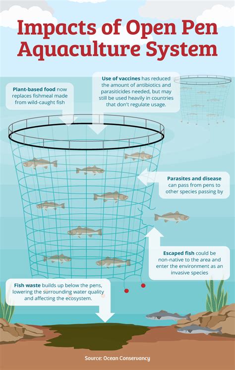 Fishing For Information The Environmental Impact Of Fish Farming