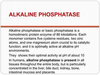 Phosphatase | PPT