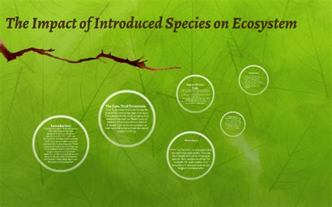 The Impact of Introduced Species on Ecosystem by Tamy Dobson on Prezi