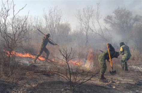 La Capital Reporta Coahuila 5 Incendios Forestales