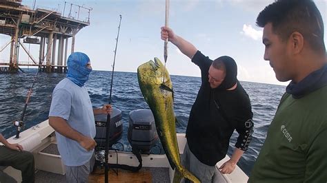 Kingfish And Dorado Fishing Galveston Tx Youtube