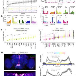 Identification of host circuits and genetic components involved in ... 