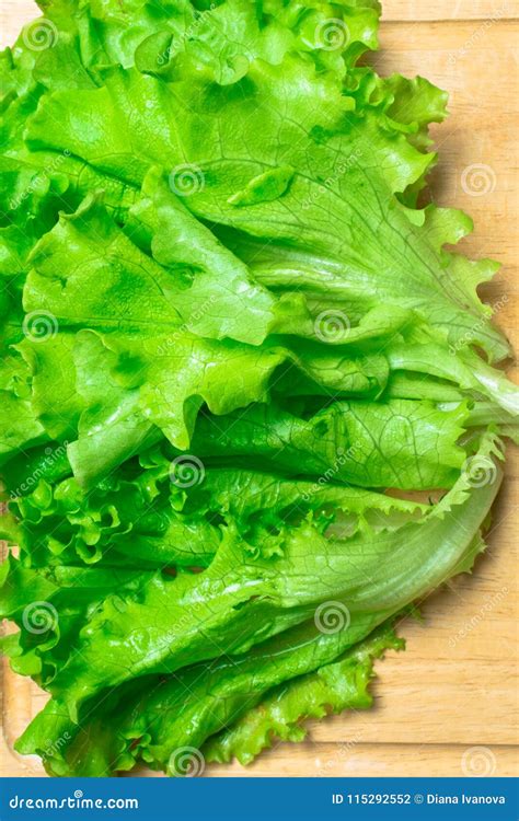 Pile Of Fresh Organic Letucce Heads Harvest Heap Of Freshly Cut Green