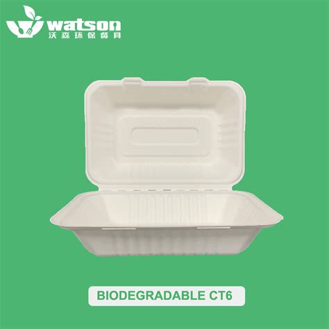 Watsonpak Molded Pulp Packaging Sugarcane Bagasse Biodegradables