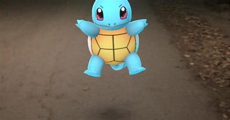 Teenage Mutant Ninja Squirtle R Pokemongomystic