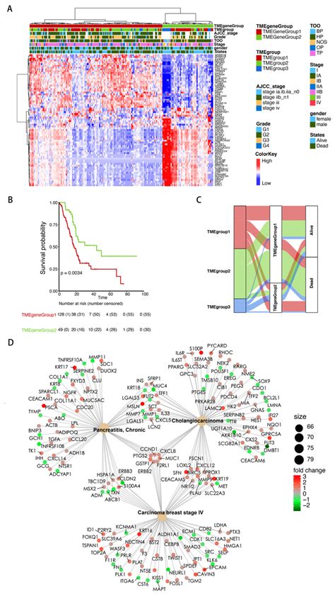 Identification Of The Tme Signature Genes And Functional Annotation Download Scientific