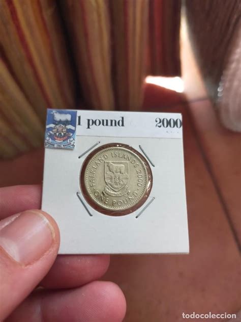 Moneda De Una Libra Islas Malvinas Falkl Comprar Monedas Ecus