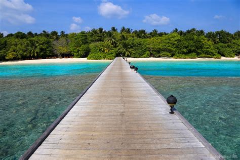 Image of Royal Island, Maldives by Saša Jamšek | 1008708