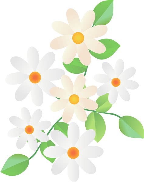 White Daisy Border Clip Art