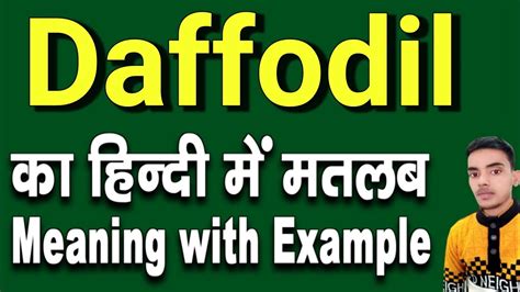 Daffodil Flower In Hindi Word Best Flower Site