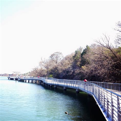 Austin.com Lady Bird Lake Boardwalk