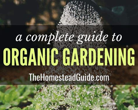 Organic Gardening | The Homestead Guide