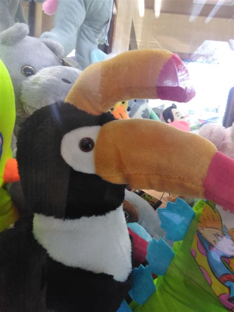 This Toucan in a claw machine : r/onejob