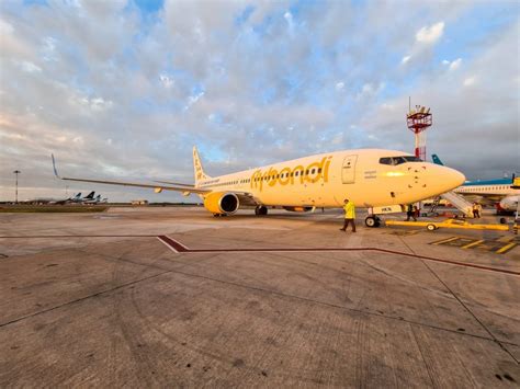 Flybondi Aumenta Frecuencias De Sus Vuelos