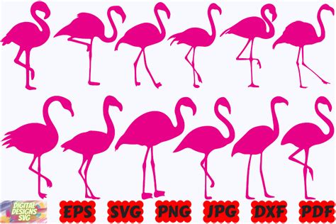 Flamingo SVG Pink Flamingo SVG Bird Graphic By