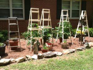 27 DIY Tomato Cage Trellis Stake Ideas Balcony Garden Web