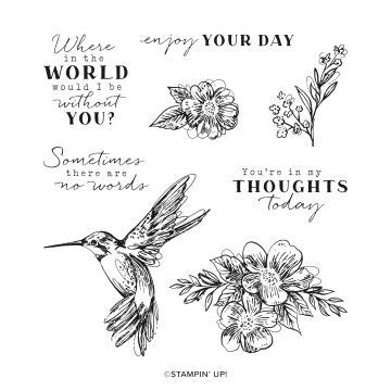 Stempelset Thoughtful Expressions Von Stampin Up