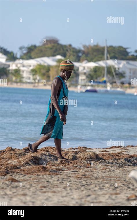 Portrait Jamaican Man Jamaica Fotos Und Bildmaterial In Hoher Auflösung Alamy